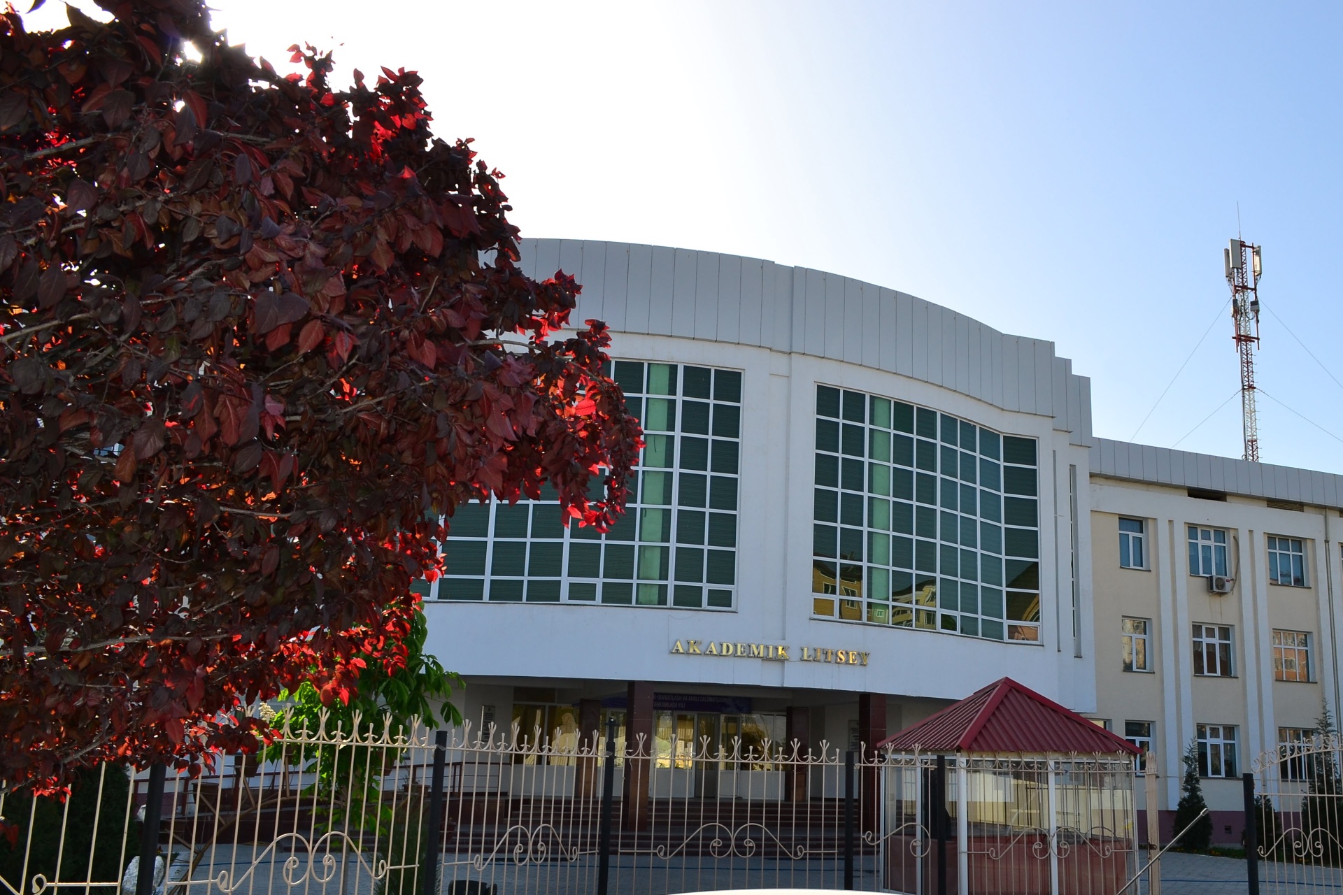 TATU Lyceum